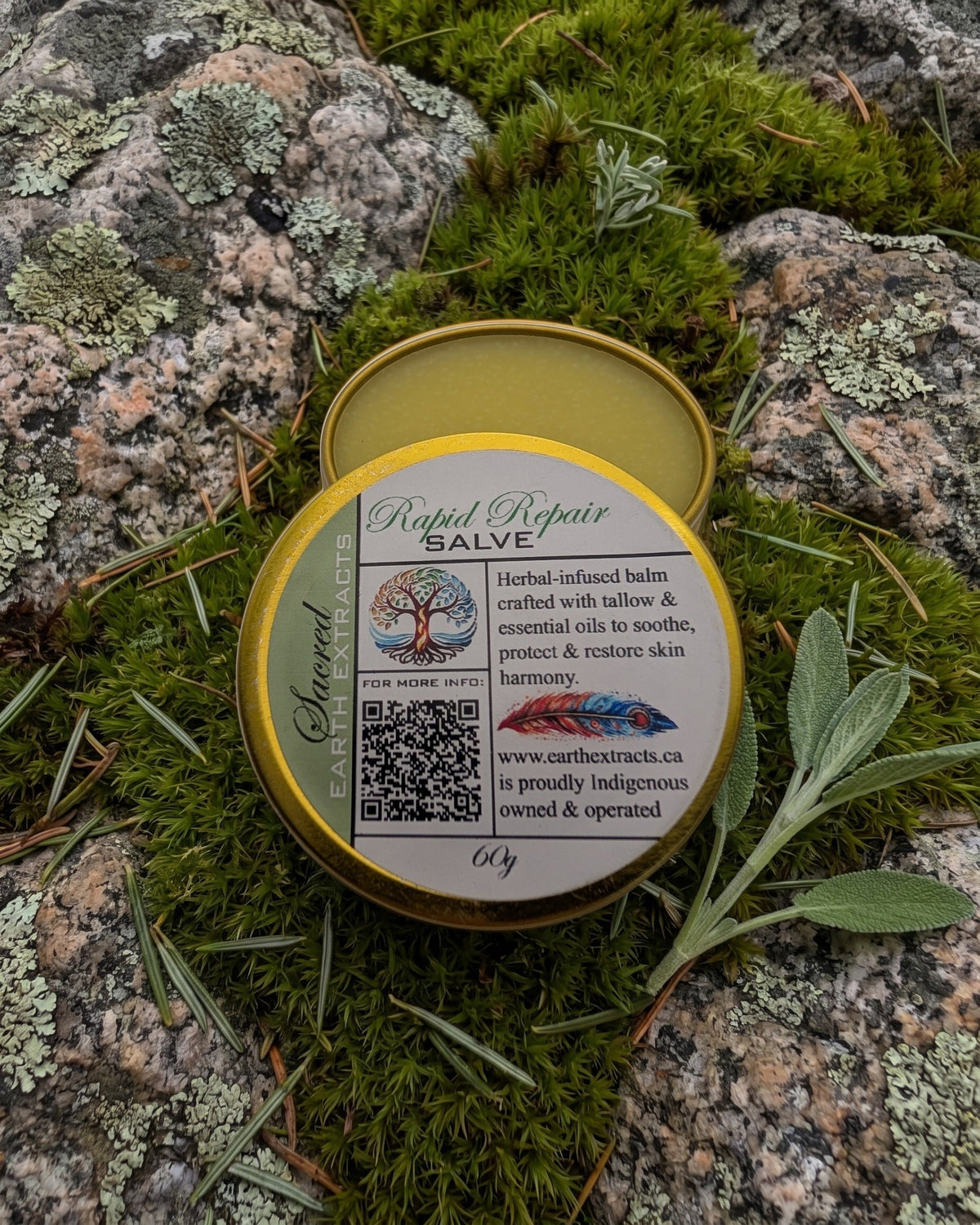Rapid Repair Tallow Salve on a lichen-covered granite stone on a boreal forest floor