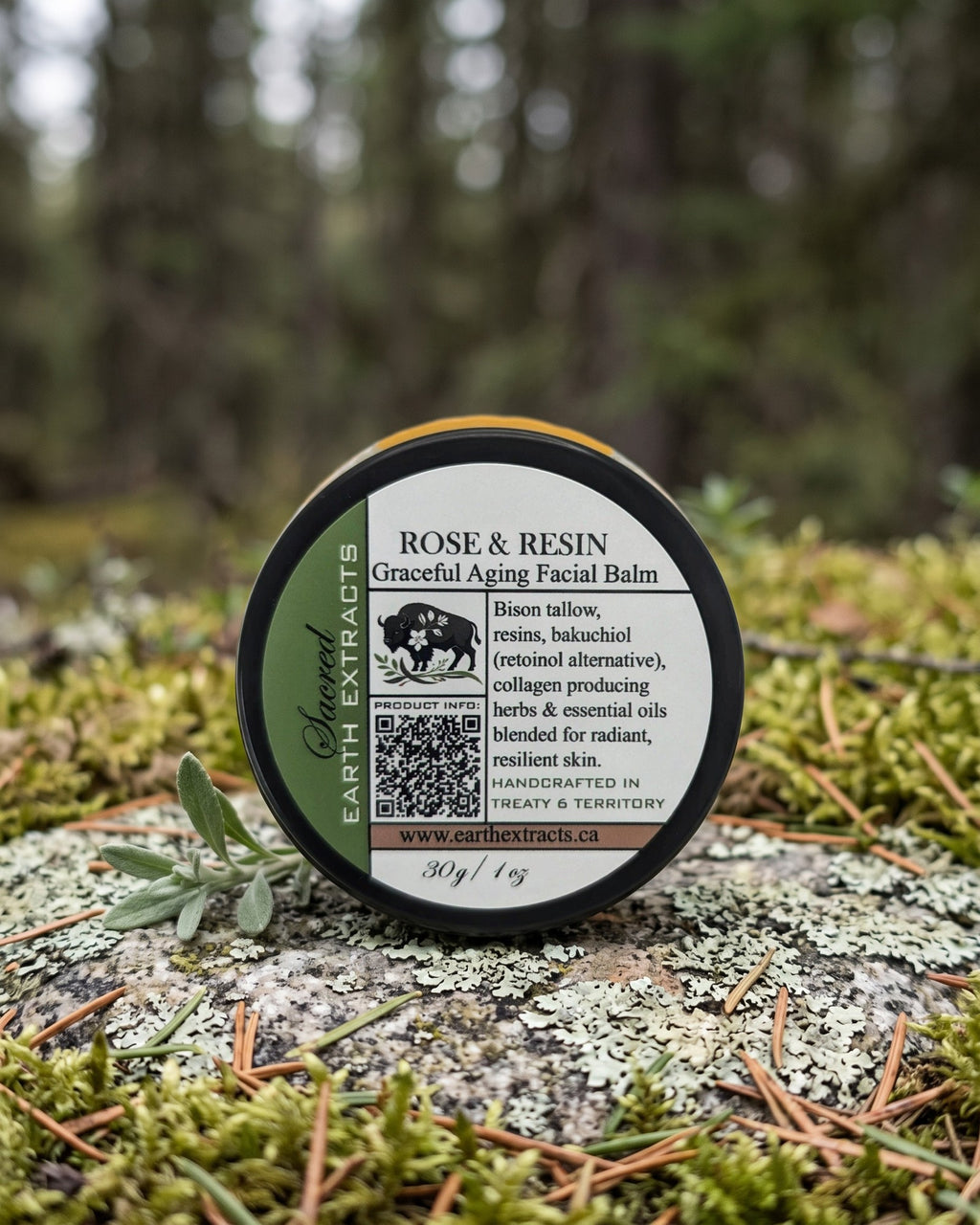 Rose & Resin Bison Facial Balm on a lichen-covered granite stone on a boreal forest floor