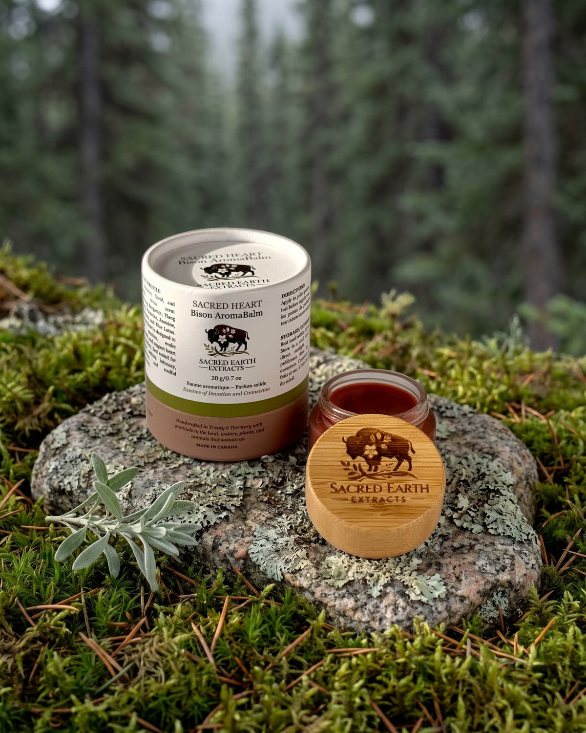 Sacred Heart Bison AromaBalm on a lichen-covered granite stone on a boreal forest floor