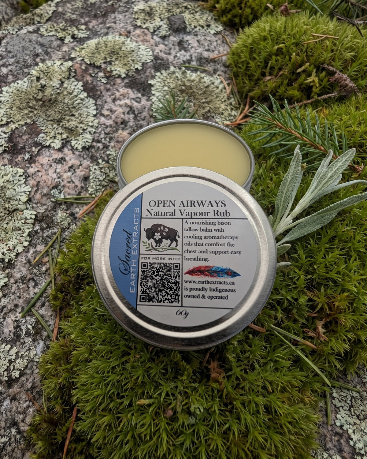 Open Airways Decongestant Salve on a lichen-covered granite stone on a boreal forest floor