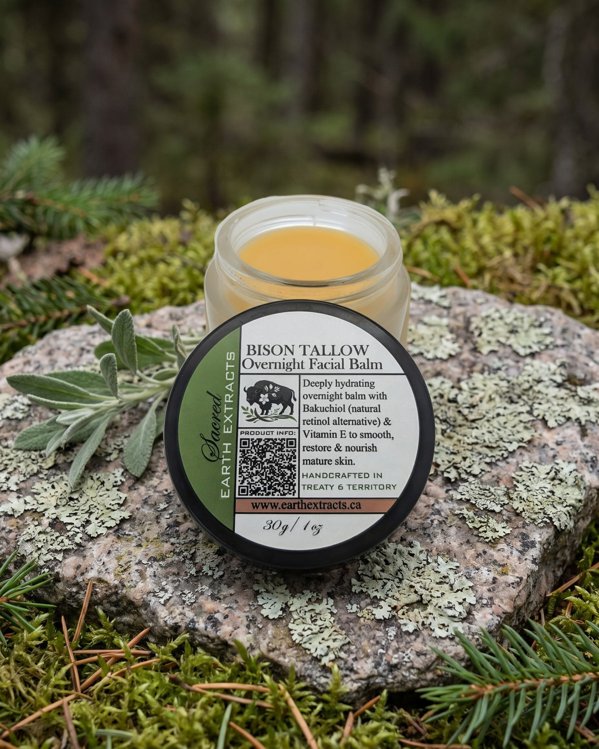 Bison Tallow Overnight Facial Balm on a lichen-covered granite stone on a boreal forest floor