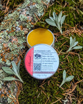 Sunkissed Lips on a lichen-covered granite stone on a boreal forest floor