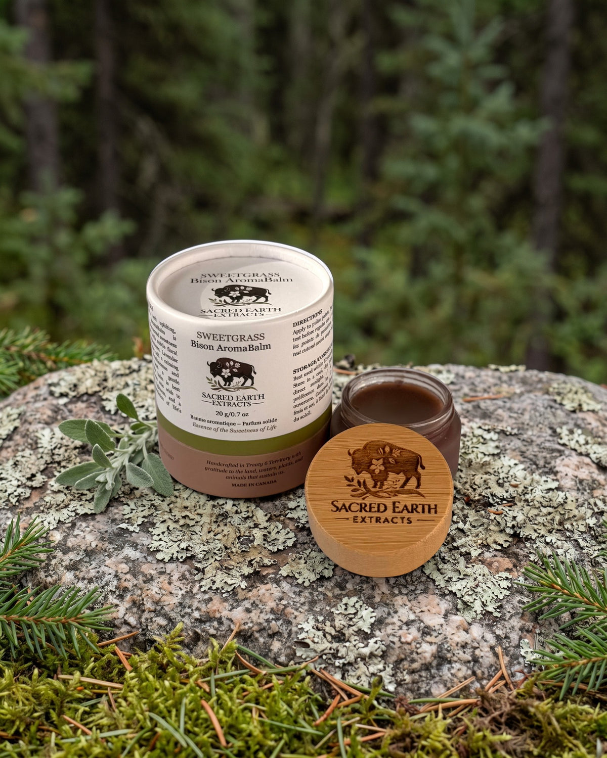 Sweetgrass Bison AromaBalm on a lichen-covered granite stone on a boreal forest floor
