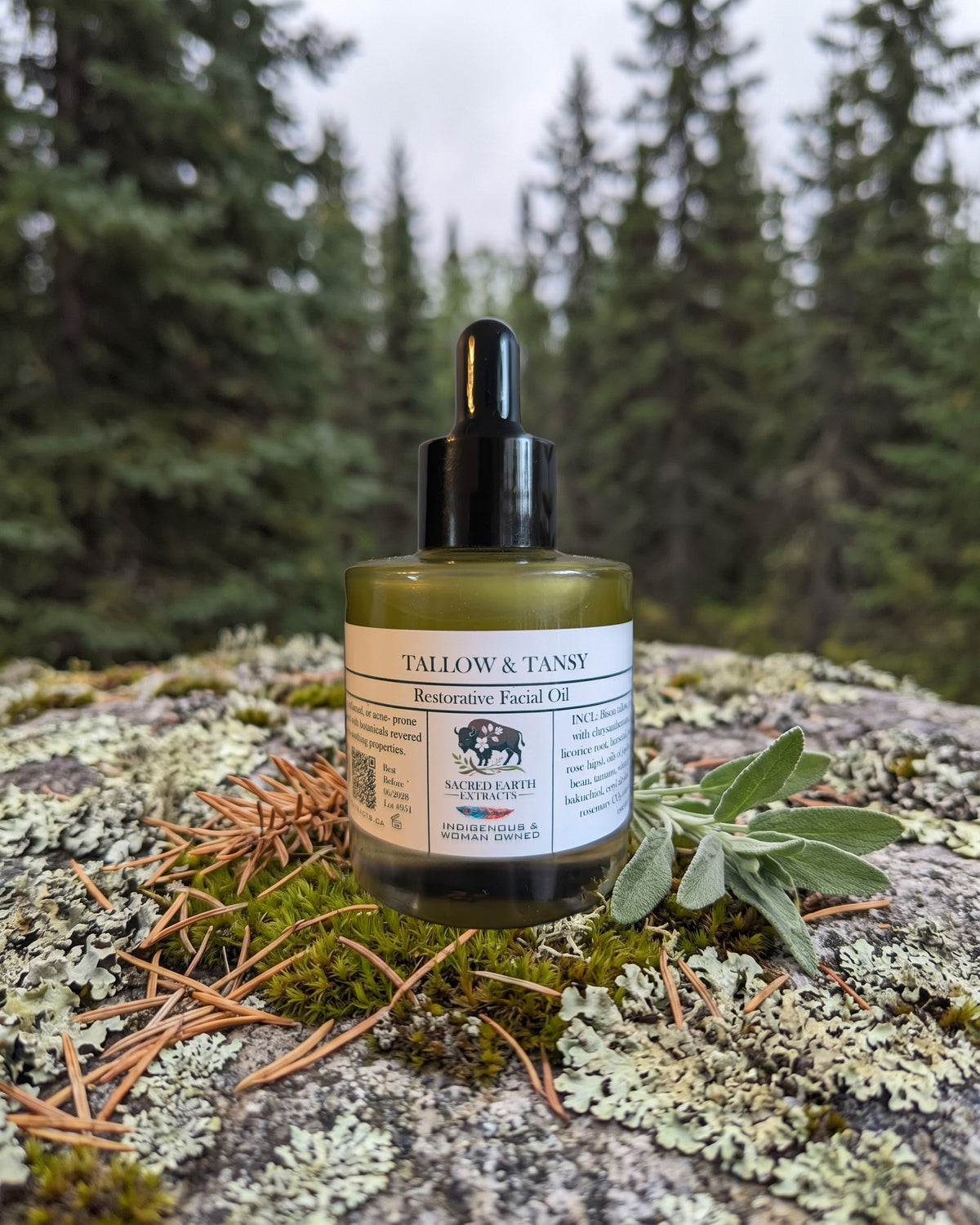Tallow & Tansy Facial Oil on a lichen-covered granite stone on a boreal forest floor
