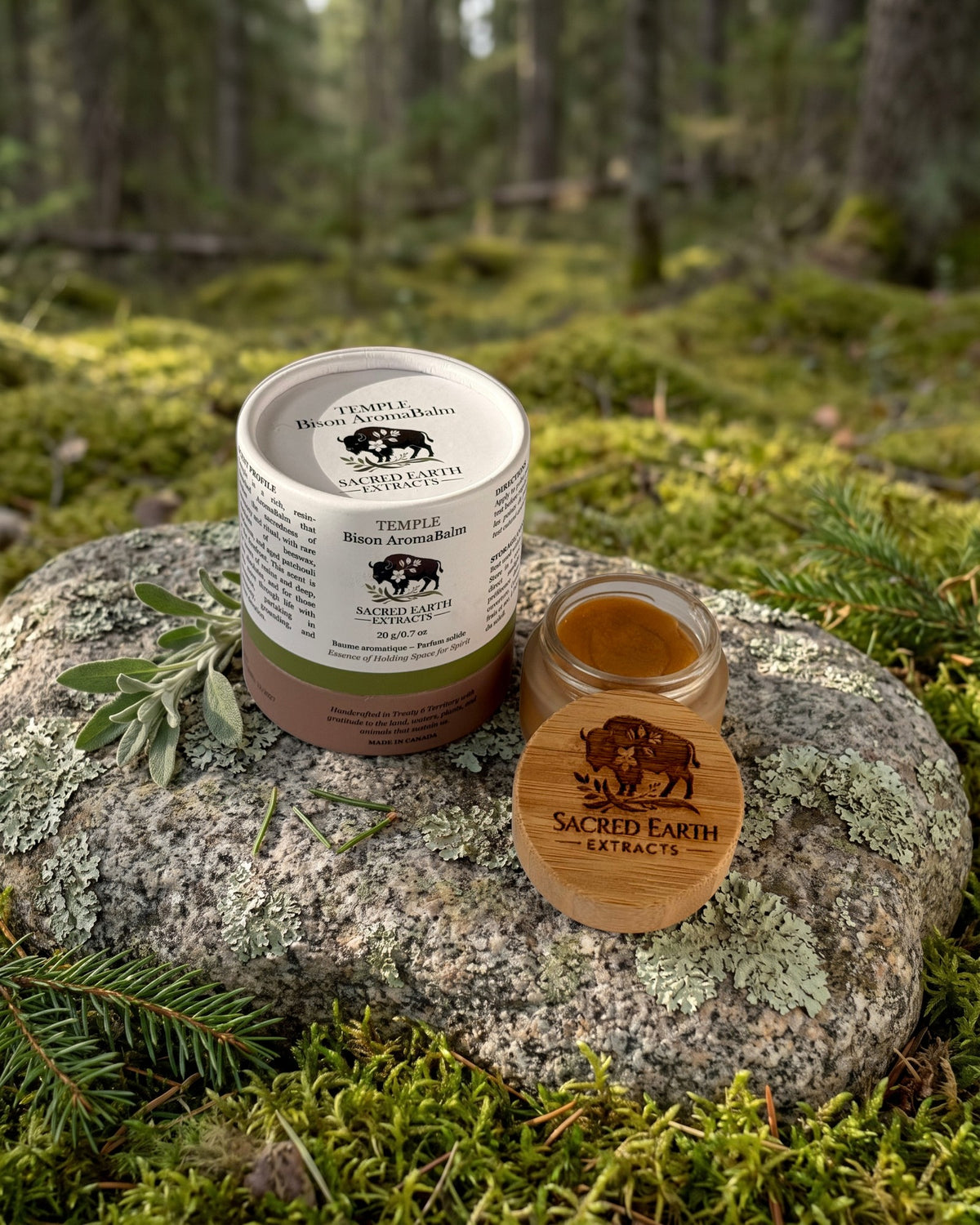 Temple Bison AromaBalm on a lichen-covered granite stone on a boreal forest floor