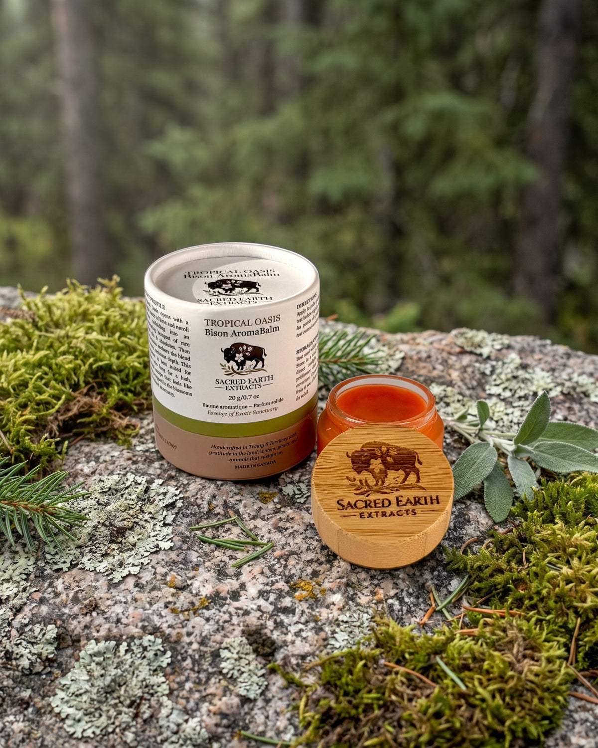 Tropical Oasis Bison AromaBalm on a lichen-covered granite stone on a boreal forest floor