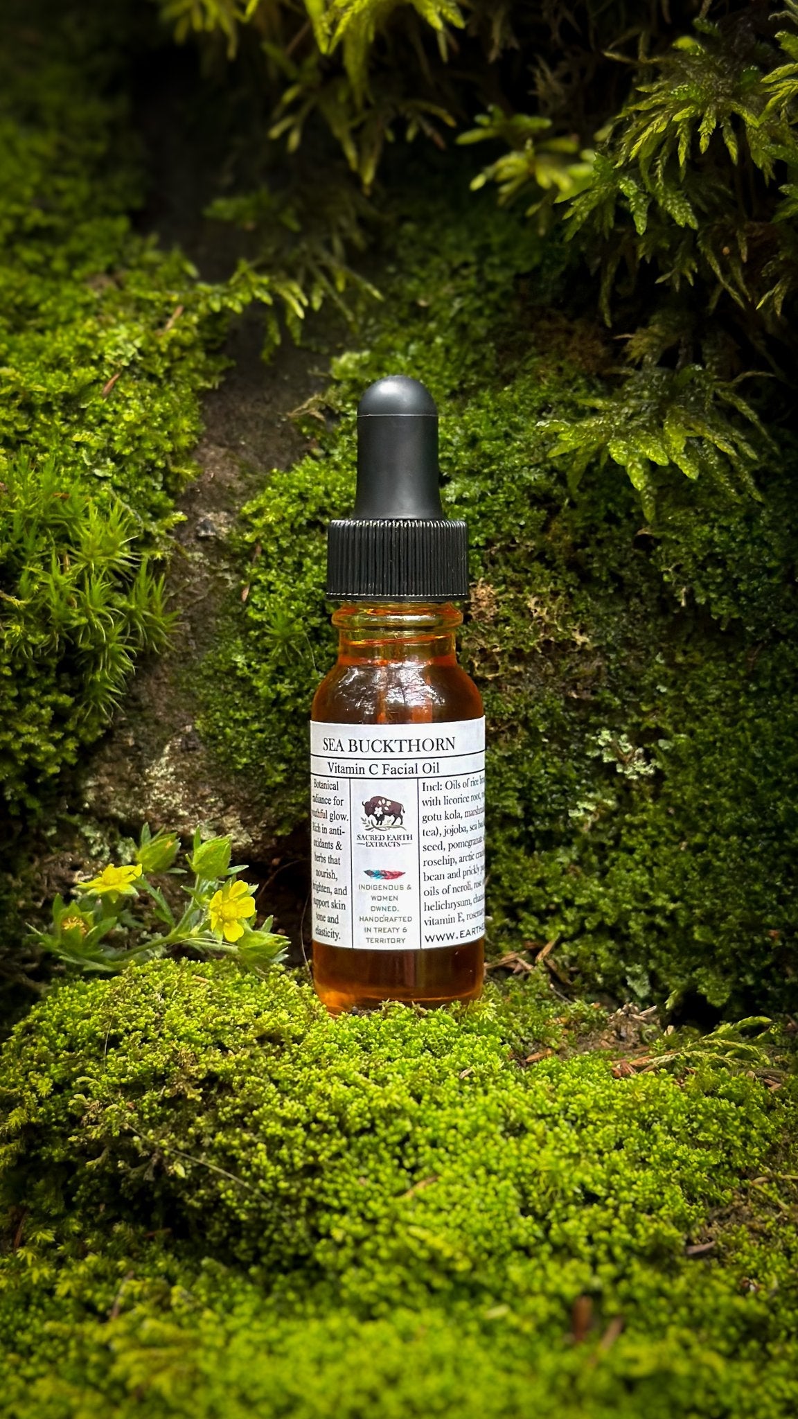 Sea Buckthorn oil 15 ml dropper bottle standing in green moss